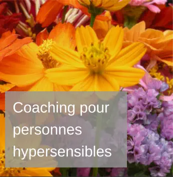 Coaching pour Hypersensibles